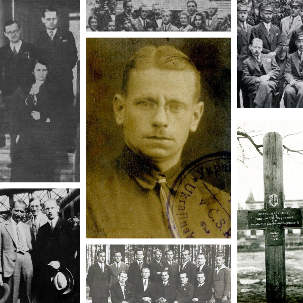 Микола Сціборський на фото та картинах